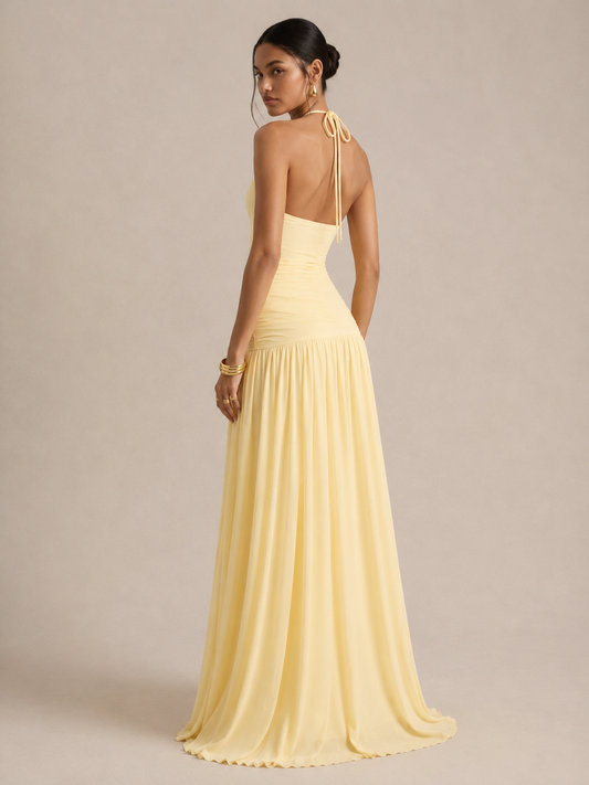 Kai Halter Maxi Dress