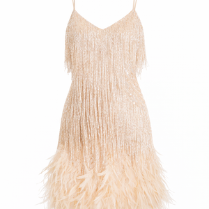 Paloma Feather Tassel Mini Dress