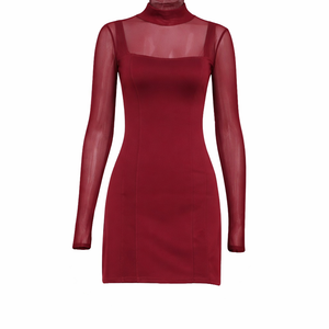 Eloise Mesh Panel Mini Dress