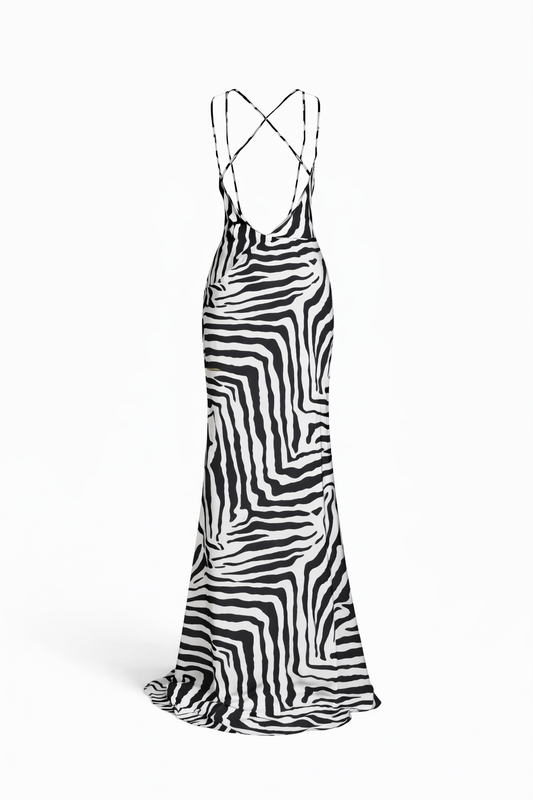 Zahara Zebra Maxi Dress
